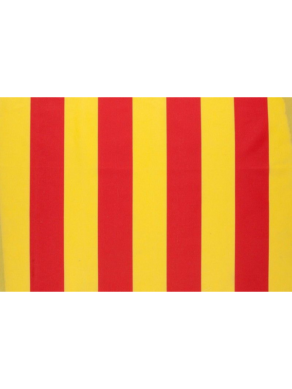 Tela de bandera de Aragon 160 cm