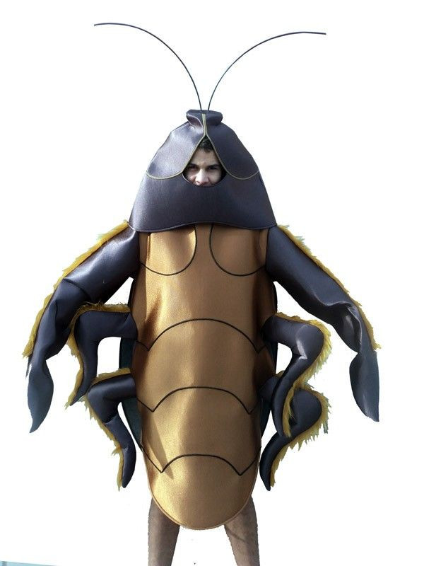 Disfraz de cucaracha