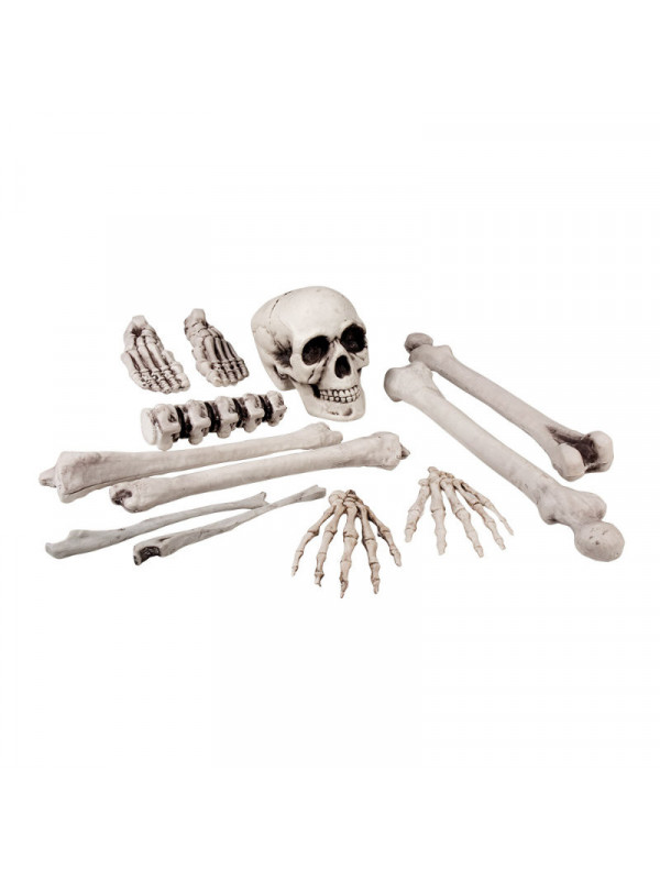 Set de huesos pequeños