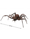 Araña gigante marrón