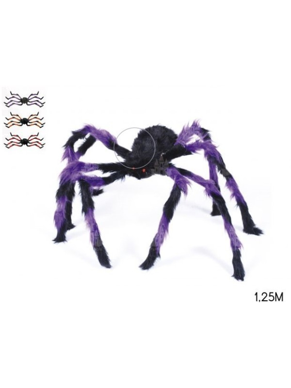 Araña gigante bicolor