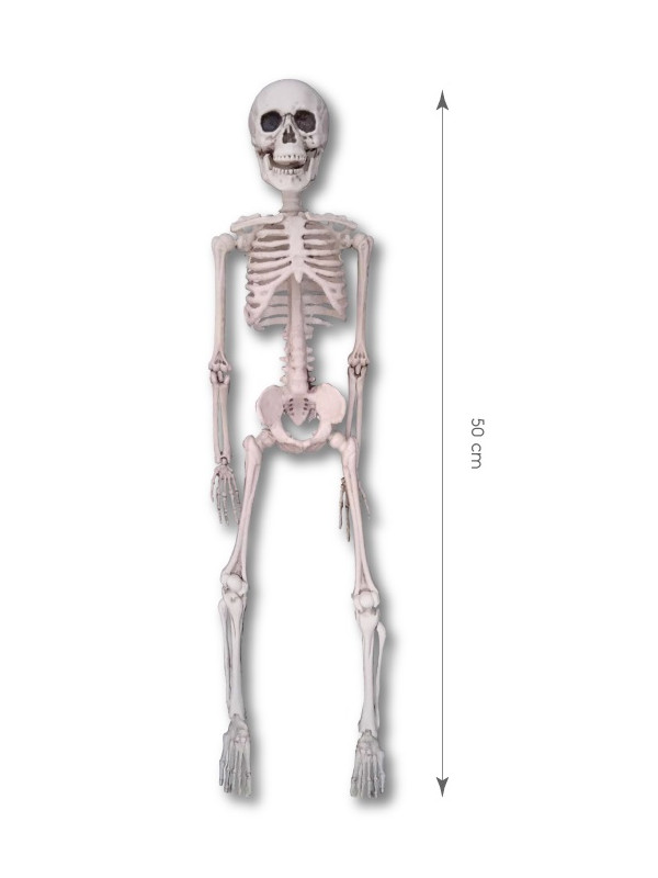 Esqueleto colgante de 50cm