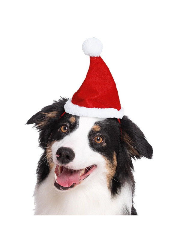 Gorro de navidad para mascotas